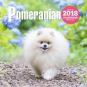 大判カレンダー　ポメラニアン　2018