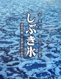 しぶき氷　猪苗代湖・不思議な氷の世界　小荒井実写真集