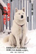 北海道犬がやって来て