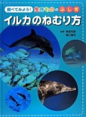 イルカのねむり方