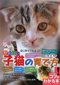 かわいい　子猫の育て方