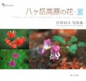 八ケ岳高原の花　夏　日ビ貞夫写真集