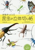 本物そっくり！昆虫の立体切り紙