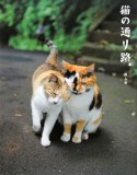 猫の通り路