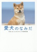 愛犬のなみだ