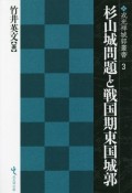 杉山城問題と戦国期東国城郭