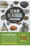 日本産化石図鑑　採集と標本の作り方