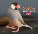 ミニ判カレンダー　文鳥　2020