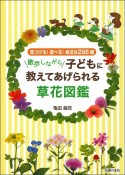 散歩しながら子どもに教えてあげられる草花図鑑