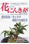 花にんき　変幻自在・セッコク　軸変りの面白さ（48）