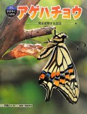 アゲハチョウ　科学のアルバムかがやくいのち11