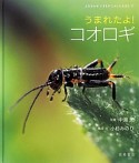 うまれたよ！コオロギ　よみきかせいきものしゃしんえほん17