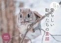 北の森に生きる愛らしい動物たちの素顔カレンダー　2025