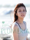 PLUMERIA　武井咲写真集　DVD付き