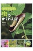 さがしてみよう！虫のかくれんぼ　虫っておもしろい