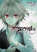 Fate／Apocrypha　聖人の凱旋（3）