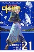 ドラゴンクエスト列伝　ロトの紋章〜紋章を継ぐ者達へ〜（21）