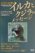 イルカとクジラのメッセージ