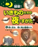 観察！いきものたちの夜のすがた　夜に走る、夜に飛ぶ動物たち　図書館用堅牢製本