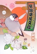 鳩胸退屈文鳥