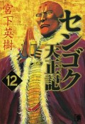 センゴク　天正記（12）