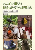 さんぽで撮ろう！都会のみぢかな野鳥たち