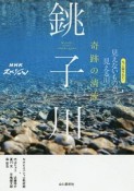 NHKスペシャル　奇跡の清流　銚子川