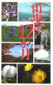 山歩き12か月＜カラー版＞