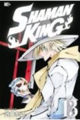 SHAMAN　KING（13）