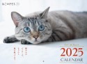 ねこのきもち大判カレンダー2025