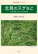 北見のスゲなど　イグサ科・カヤツリグサ科