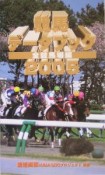 競馬データブック　全競馬場編　2005