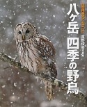 八ケ岳四季の野鳥　吉野俊幸写真集