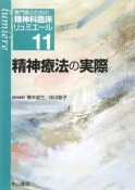 精神療法の実際　専門医のための精神科臨床リュミエール11