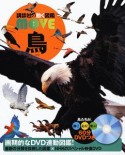 鳥　講談社の動く図鑑MOVE　DVD付