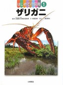 ザリガニ　はじめての飼育1