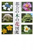 都会の木の花図鑑