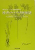 岡山県カヤツリグサ科植物図譜　カヤツリグサ属からシンジュガヤ属まで