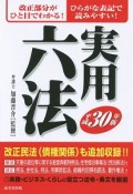 実用六法　平成30年