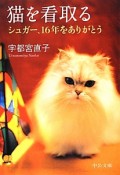 猫を看取る　シュガー、16年をありがとう