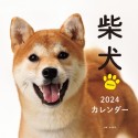 柴犬カレンダー　2024
