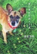 愛と勇気を持つ犬達