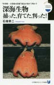 深海生物　捕った、育てた、判った！