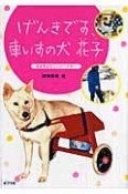 げんきです、車いすの犬花子