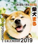 柴犬まる週めくり卓上カレンダー　2019