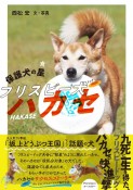 保護犬の星　フリスビー犬ハカセ