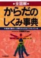 全図解　からだのしくみ事典