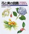 花と実の図鑑　夏・秋・冬に花が咲く木（2）