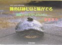 噛めば噛むほど味がでる