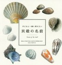 子どもと一緒に覚えたい　貝殻の名前